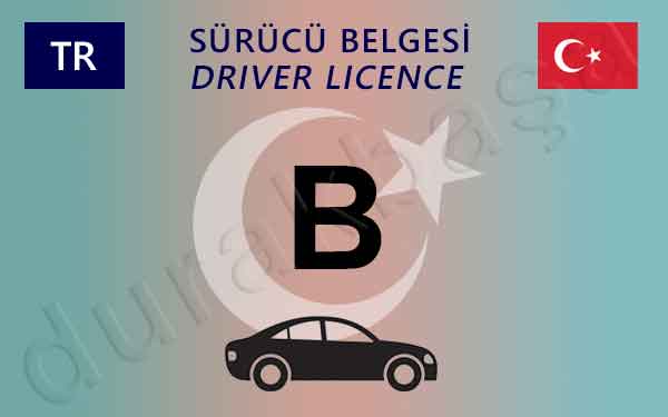 b sınıfı manuel-otomatik otomobil ehliyeti kurs fiyatı ankara